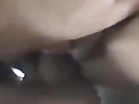 Tree suckers for 1 flawless cock