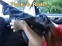 theSandfly Sexbites - Park & Ride!