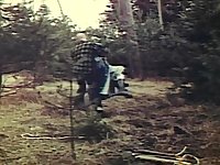 Deep In The Woods