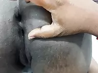 Tamil Wife Tries Anal Finger and Hard Pussy Fucking in Missionary with Hot Expressions